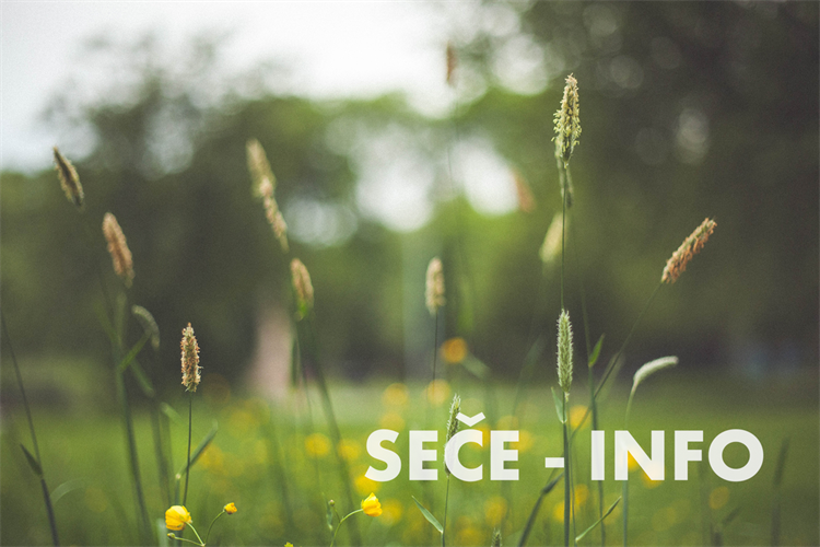 Praha 10 při sekání trávy zohledňuje metodické doporučení magistrátu