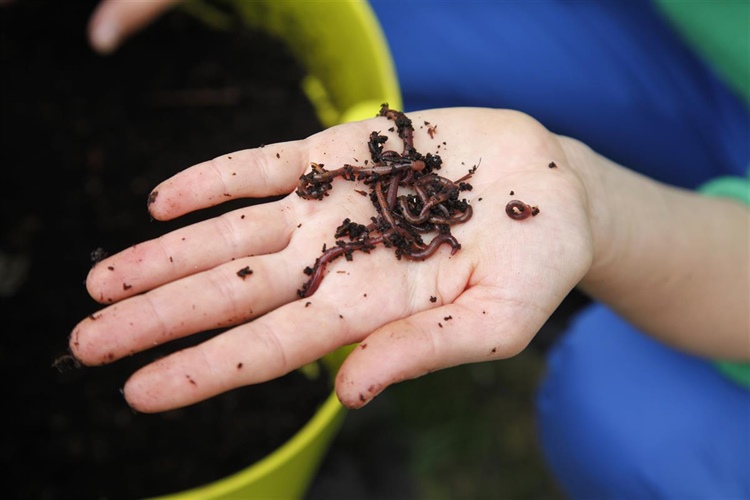 Kompostovací poradna na tržišti Kubáň