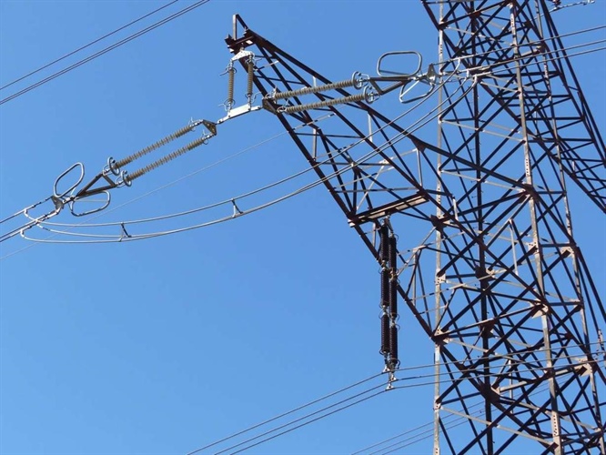 Údržba zeleně a obnova ochranného pásma dle energetického zákona