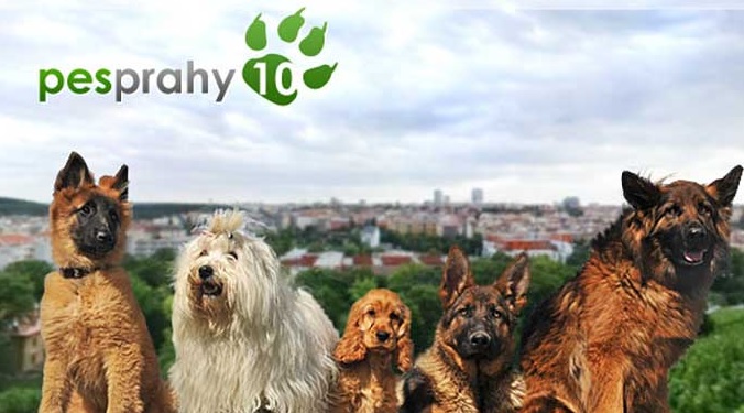 Hlasování o Psa Prahy 10 spuštěno!