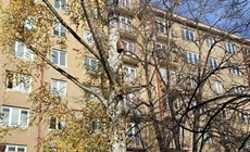 Informace o kácení stromů – vnitroblok Na Hroudě × Na Stezce