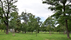 MČ Praha 10 vyhlašuje za podpory magistrátu unikátní...